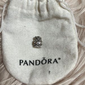Pandora owl- graduation charm